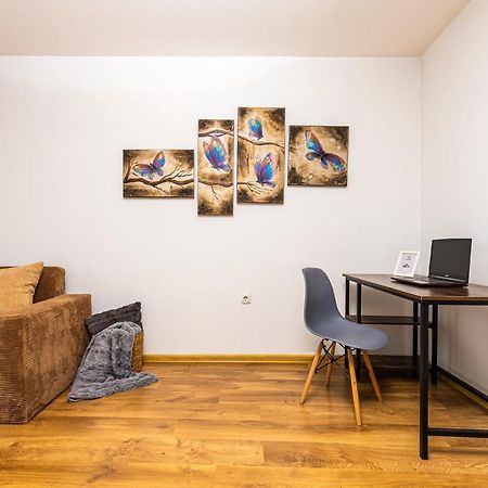The Walnut 2Bd Apartment 普罗夫迪夫 外观 照片